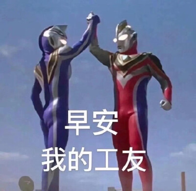 飞扑表情包