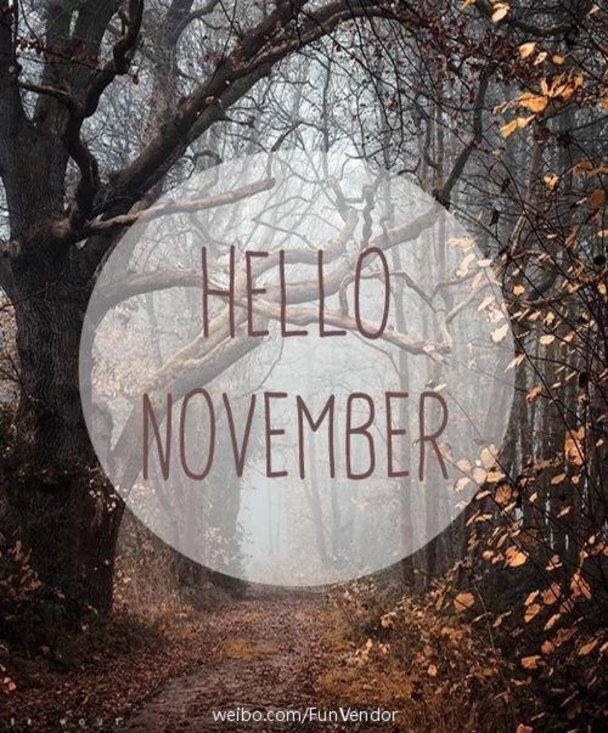 hello november