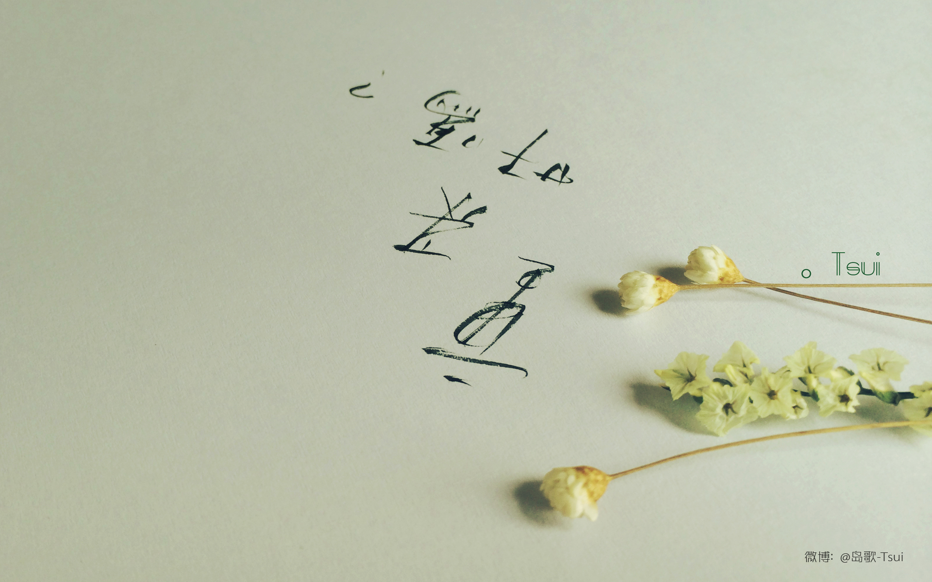 暖一颗心要多少年,凉一颗心只要一瞬间.{伴与久}