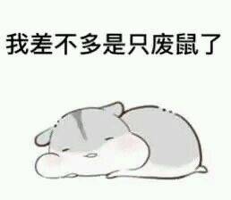 可爱仓鼠表情包