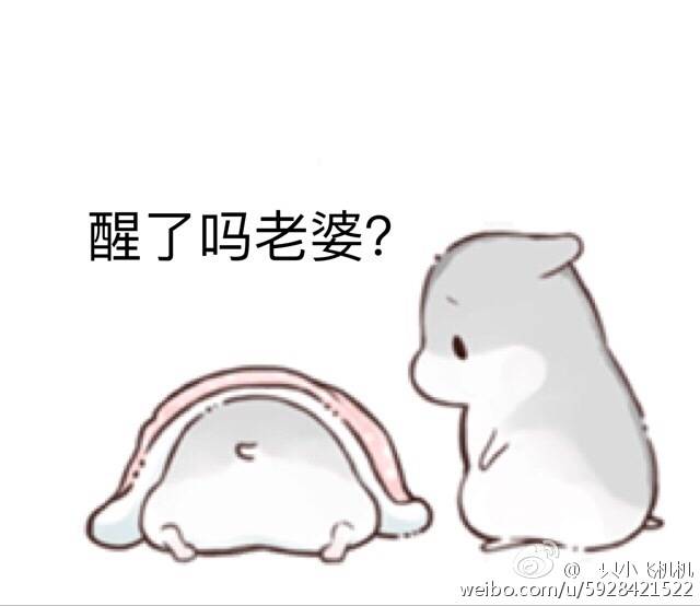 _小仓鼠表情。-堆糖,美好生活研究所菅韧姿表情包图片