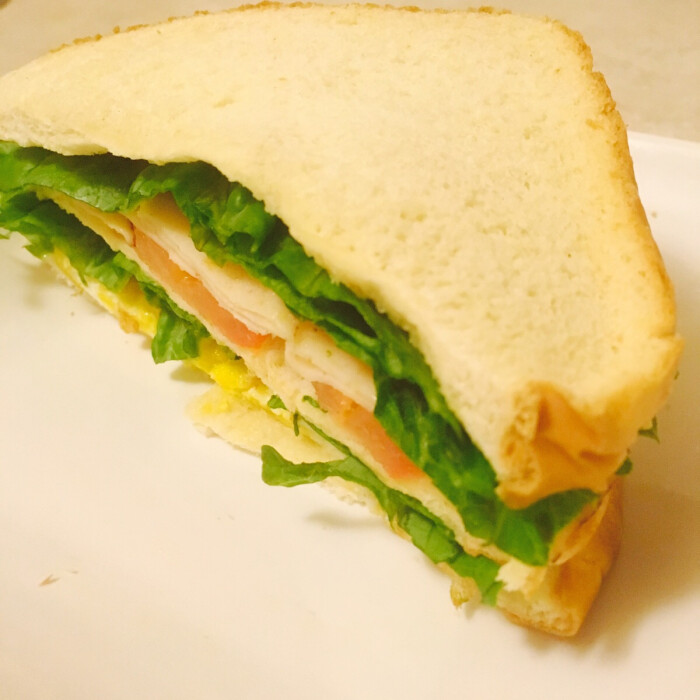 {sandwich的谚语}.