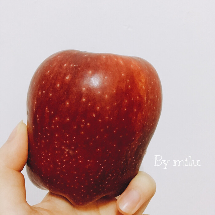 【馋猫日食记】饿的时候吃个苹果吧-堆糖,美好