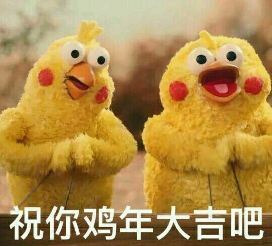 表情兄弟鹦鹉祝大家鸡年大吉吧-堆糖,搞笑你表情包美好了就想突然图片