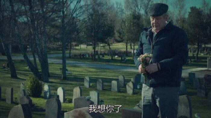 一个叫欧维的男人决定去死-堆糖,美好生活v男人换要家具颜色钱多少图片
