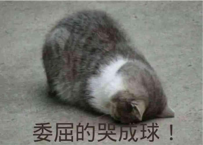 猫表情大人(委屈得哭成球)byHairen…-堆糖gif合集图动搞笑图片