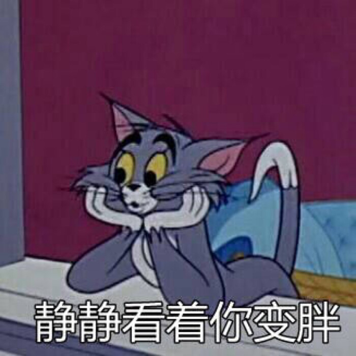 羊驼驼的动画#猫和老鼠表情#汤姆表情表情包表情怎么qq下载图片