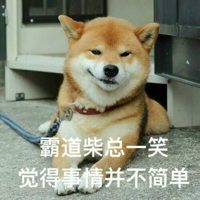 羊驼驼的表情#搞笑表情梦多表情包啦大全图片动态搞笑a表情柴总一笑…图片