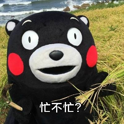 捕捉一只大熊本熊表情熊本熊可爱表情表情…姐v表情的动漫包图片