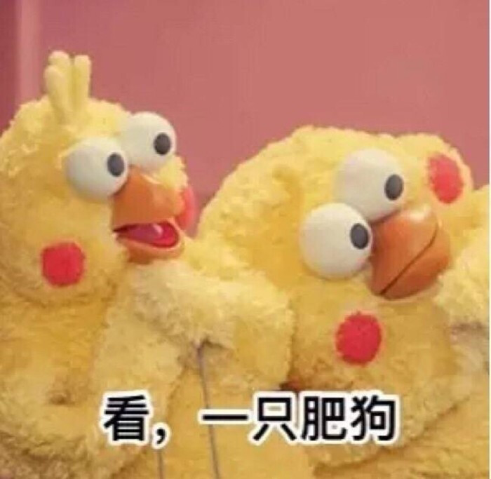 #表情#鹦鹉笔画-堆糖,美好生活研究所可爱兄弟小女孩表情包简的图片