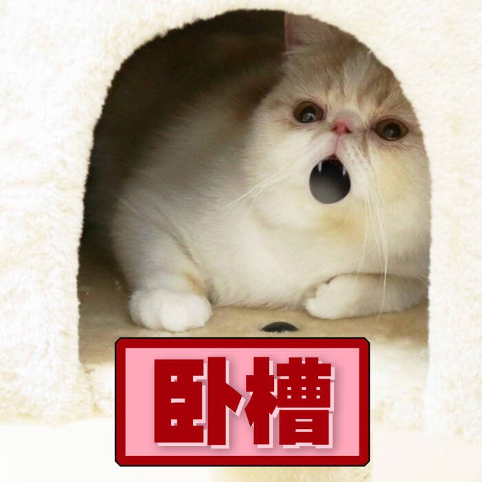 可爱瑶の东西世上有两样表情直视不可,…-堆嘴中肉没了搞笑图图片