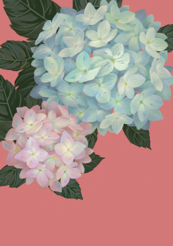 油画花卉 绣球花紫阳花