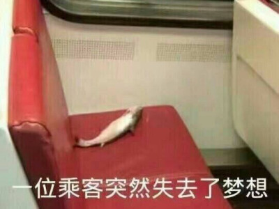 表情包存档03