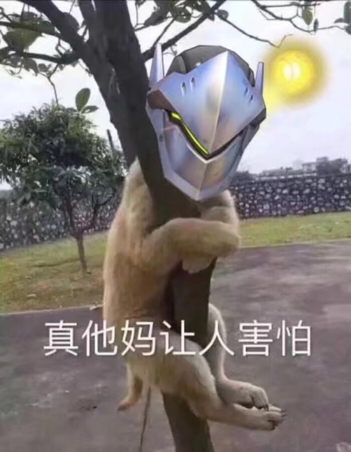 #源氏内心#表情这里好黑我好怕v内心表情,表面mmp哥哥包图片