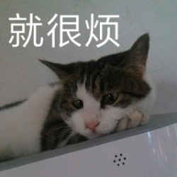 就很烦猫咪表情开心脸不撒娇委屈情…-堆搞拔兔刀恶表情包 就很烦猫咪表情开心脸不撒娇委屈情…-堆搞拔兔刀恶表情包