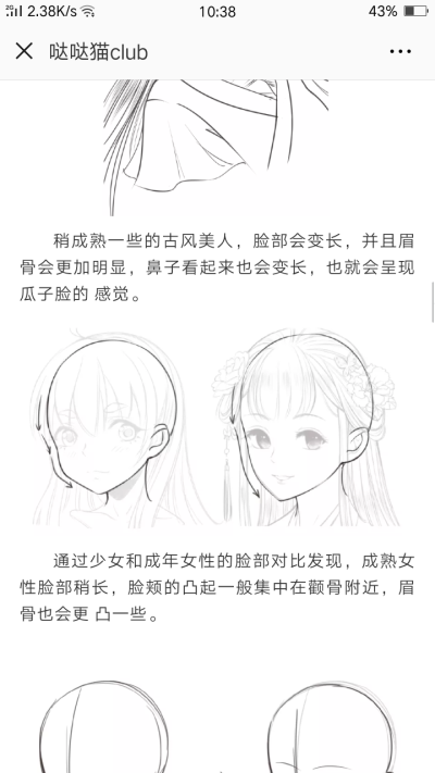 画画 哒哒猫club 古风全体型脸型技法(1)