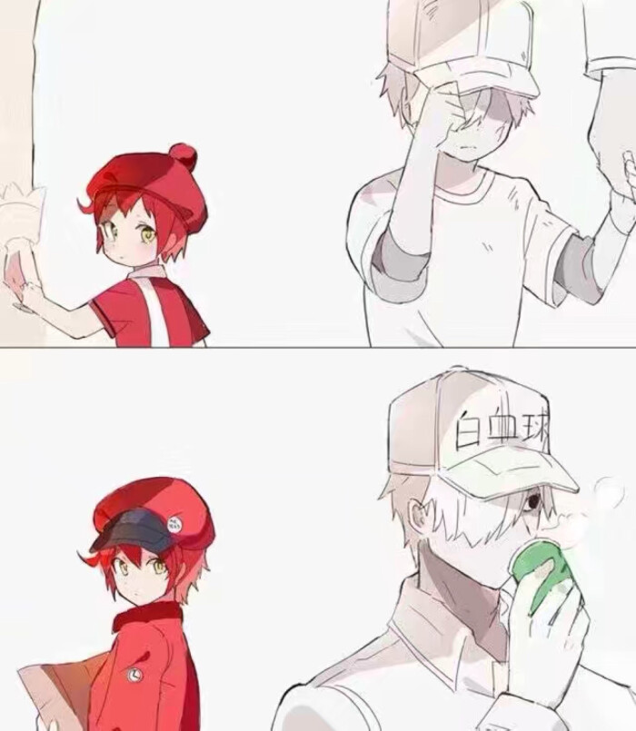 红细胞和白细胞.