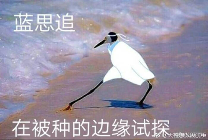 洛表情,花城表情版动态郭嘉q冰河包图片
