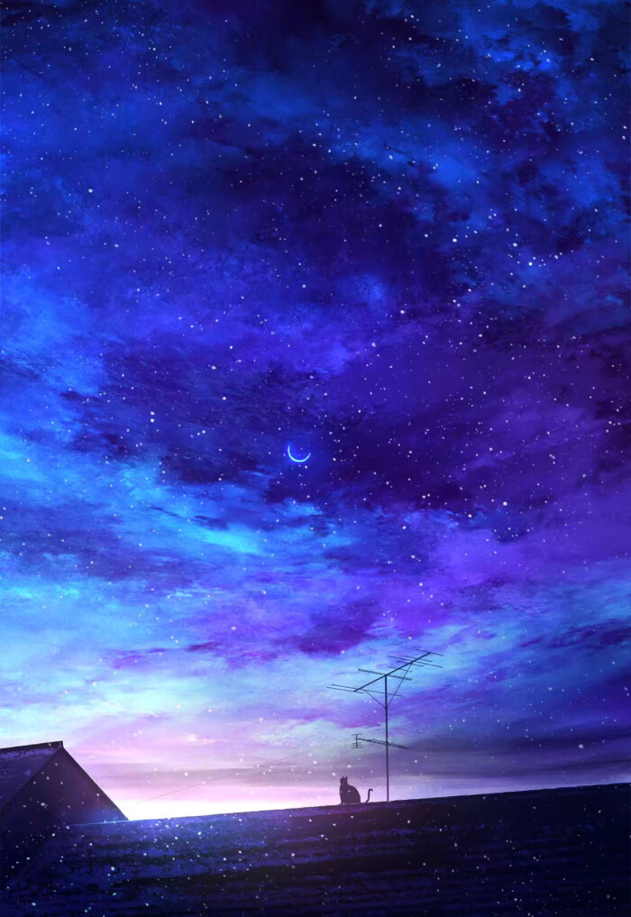 从你眼中看到了星河大海 星空