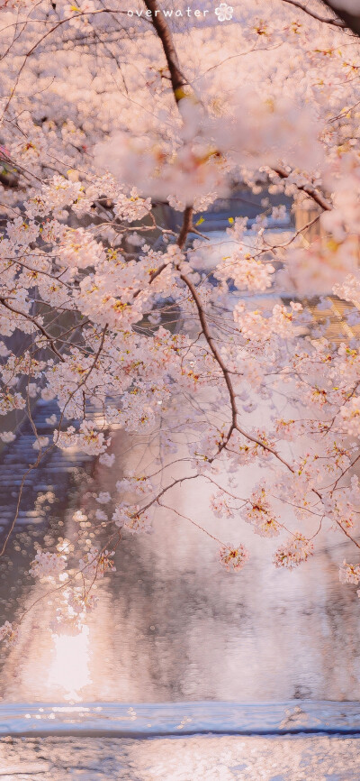 苹果11聊天背景图片/壁纸/锁屏