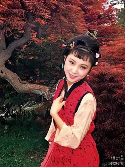 红楼梦～晴雯