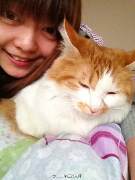 蓝星人你真是烦屎喵了~咕噜咕噜~.-堆糖,美好生