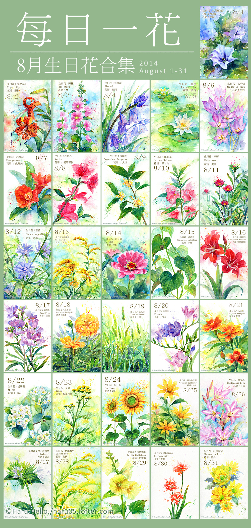 590 Flower Language Ideas