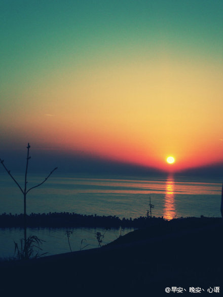 生命没有彩排,每天都是直播。迎着朝阳,开始新