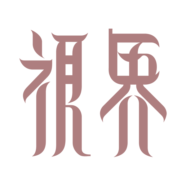 视界公司logo