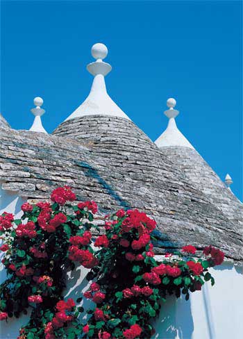 阿尔贝罗贝洛是意大利Bari省Apulia的一个小…