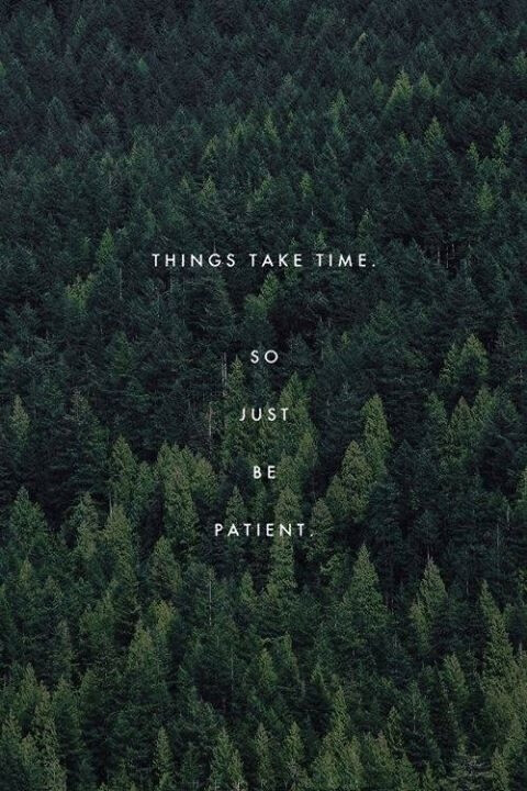 文字 壁纸【things take time.so just be patient.