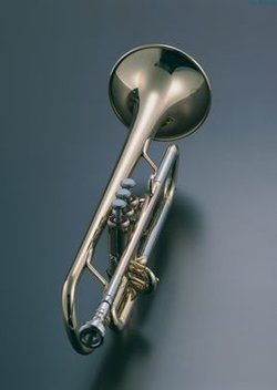 小号,俗称小喇叭,铜管乐器家族的一员,常…-堆