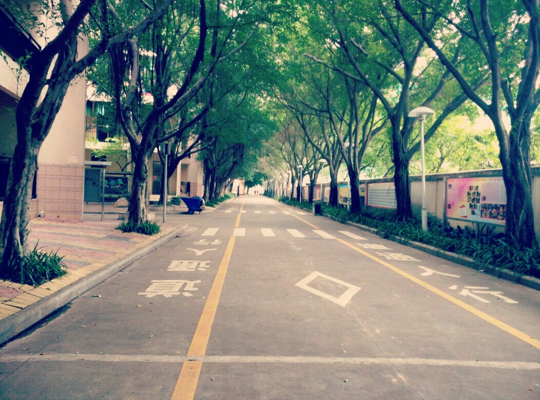 最不舍的离别,不期而遇