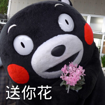 熊本熊表情包