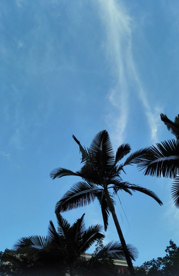 我一个人吃饭旅行到处走走停停-堆糖,美好生活
