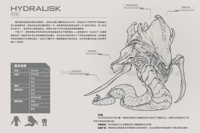 星际争霸 战地手册 可手绘 概念图