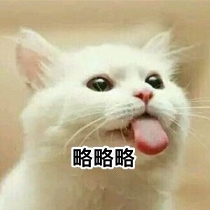 略略略-堆糖，美好生活研究所