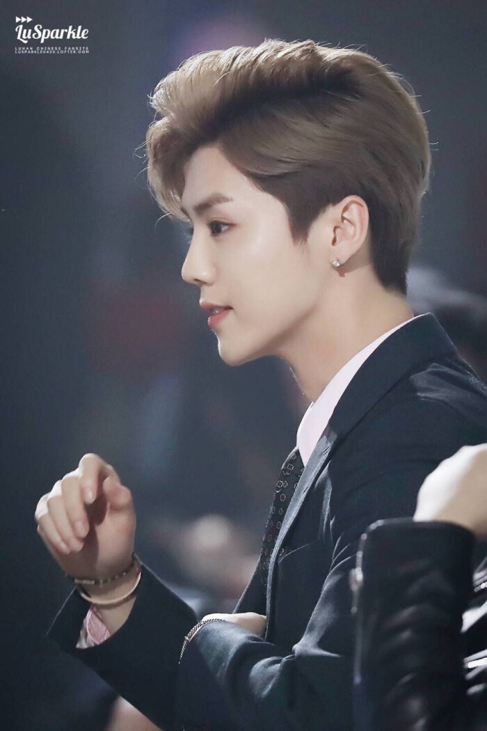 鹿晗~爱奇艺2017尖叫之夜20161203-by磨叽…