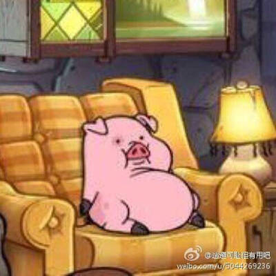 摇摇猪敲可爱头像,点赞哟么么.