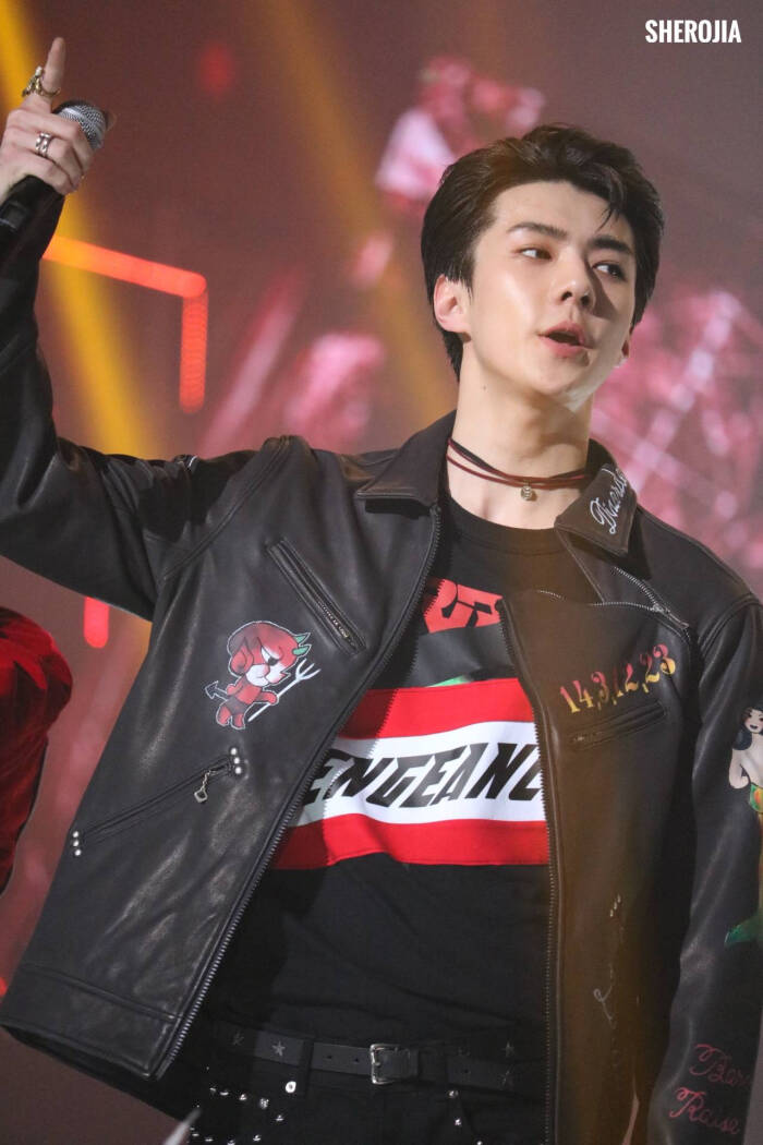 20170119 第26届首尔歌谣大赏 EXO SEHUN 