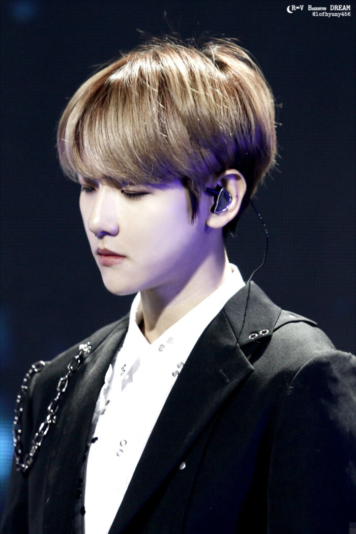 边伯贤 自然乐园粉丝见面会-堆糖,美好生活研究