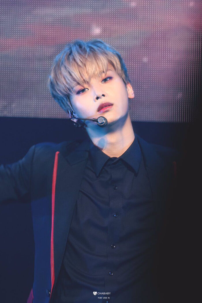 VIXX 车学沇-堆糖,美好生活研究所