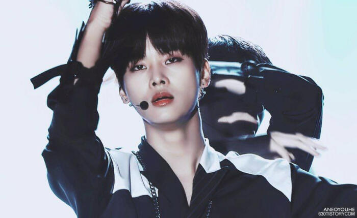 VIXX 车学沇-堆糖,美好生活研究所