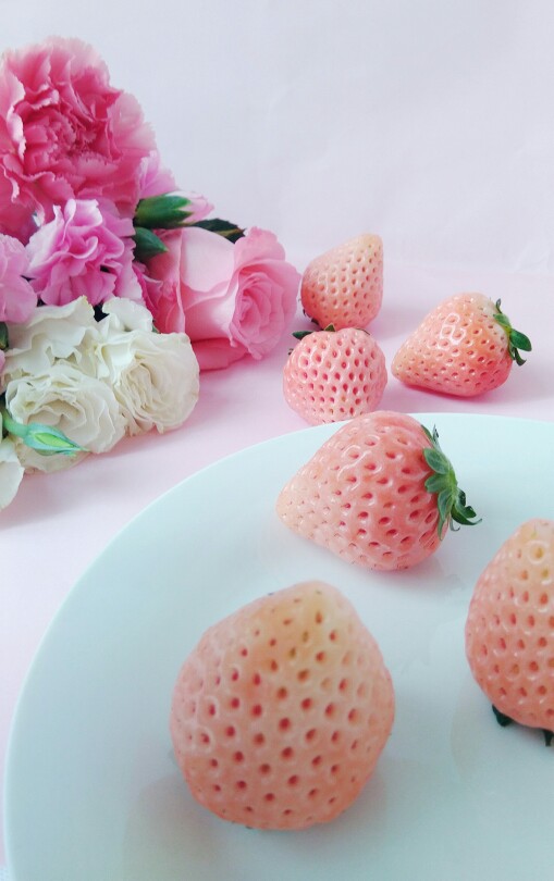 菠萝莓,草莓-堆糖,美好生活研究所