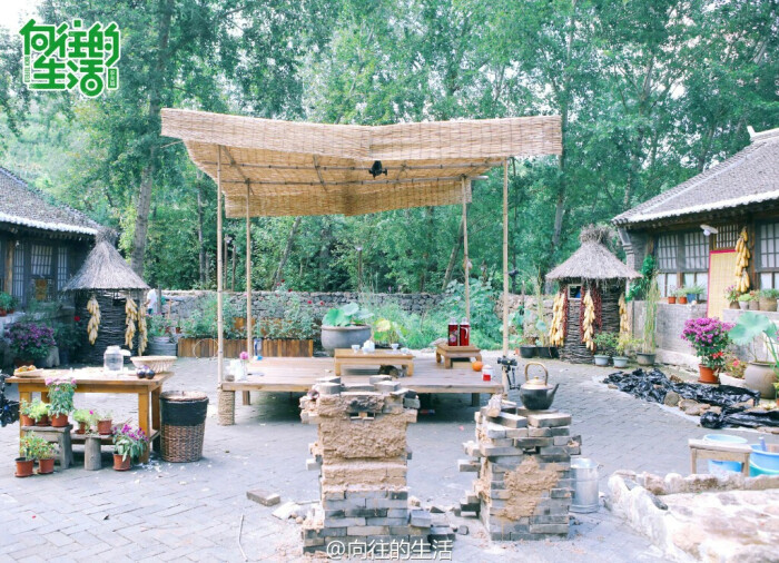 向往的生活 蘑菇屋-堆糖,美好生活研究所