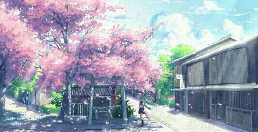 樱花 天空 风景 少女 动漫 头像 四月…-堆糖,美
