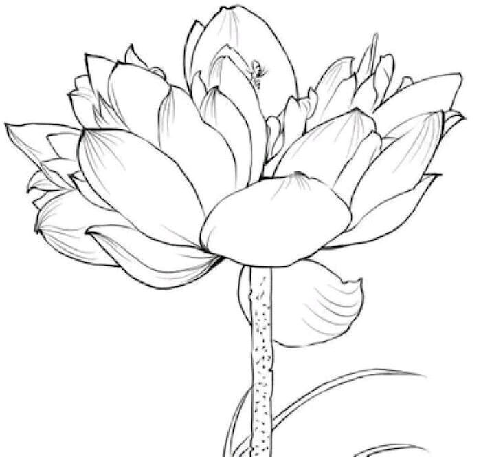 花 素材 橡皮章