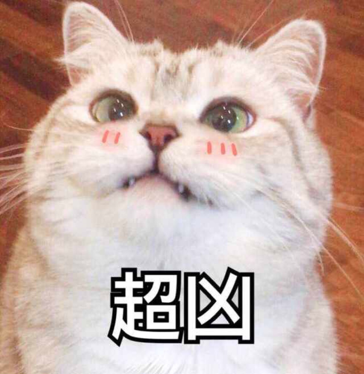 【表情包】超凶