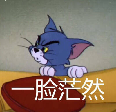 表情包 猫和老鼠