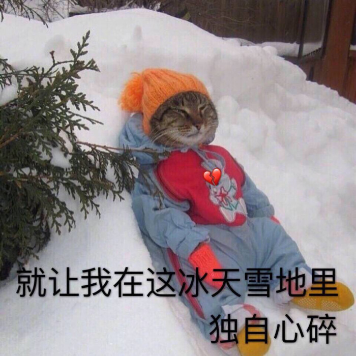 就让我在这冰天雪地里独自心碎 表情包